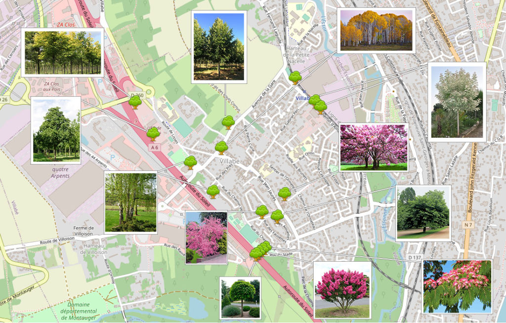 Emplacements des 1000 arbres pour Villabé