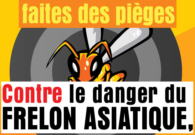 Flyer pour la pose de pièges contre les frelons asiatiques