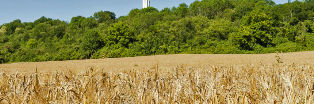 Le cirque de l'Essonne, un des derniers espaces agricoles de Villabé