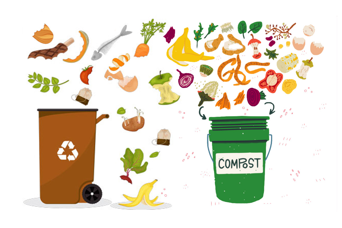 Composteurs et déchets verts