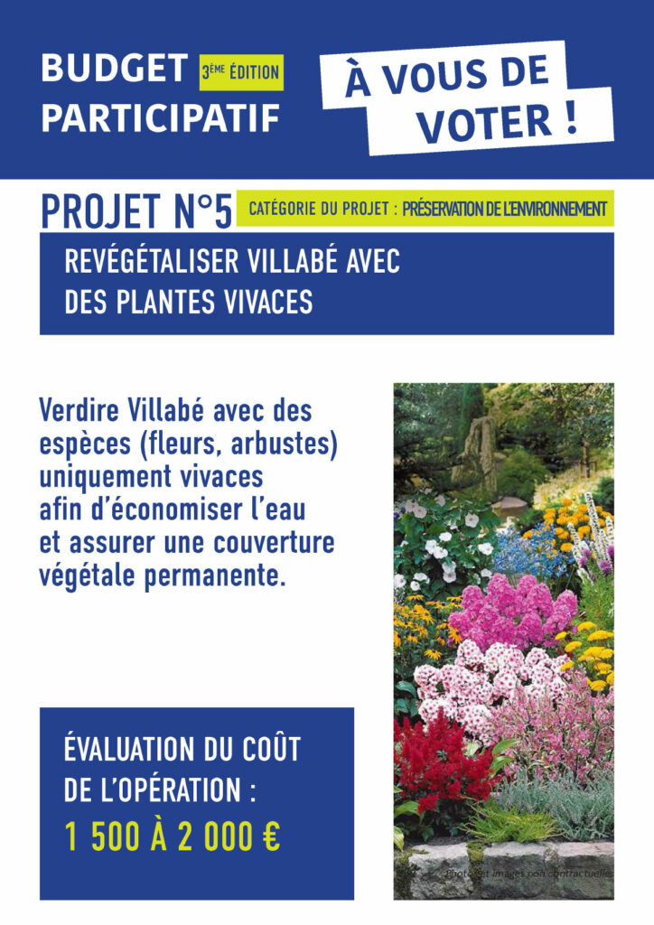 Budget Participatif 2023 de Villabé - Projet n°5 : Végétaliser Villabé avec des plantes vivaces
